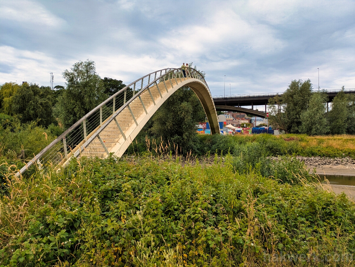 PXL_20250705_103517217 