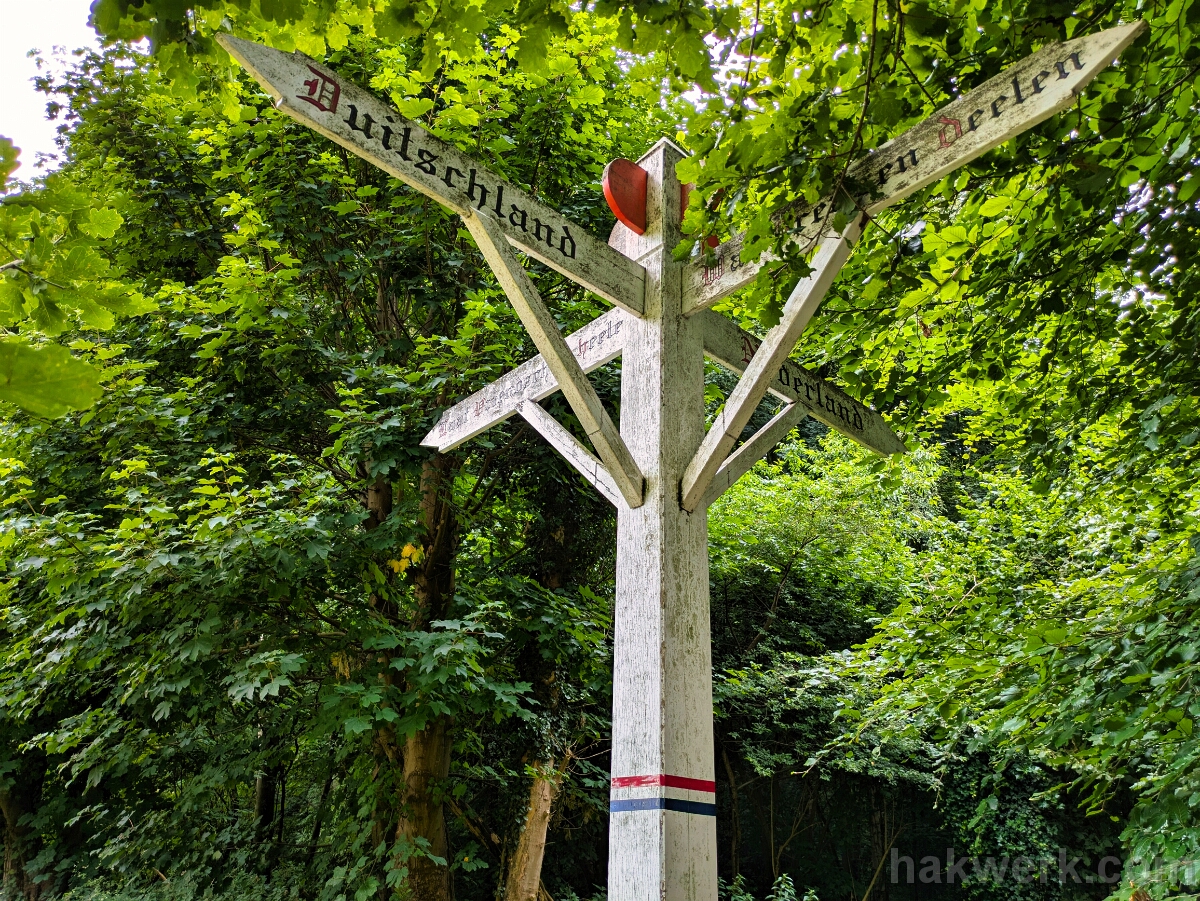 PXL_20250707_094608380 