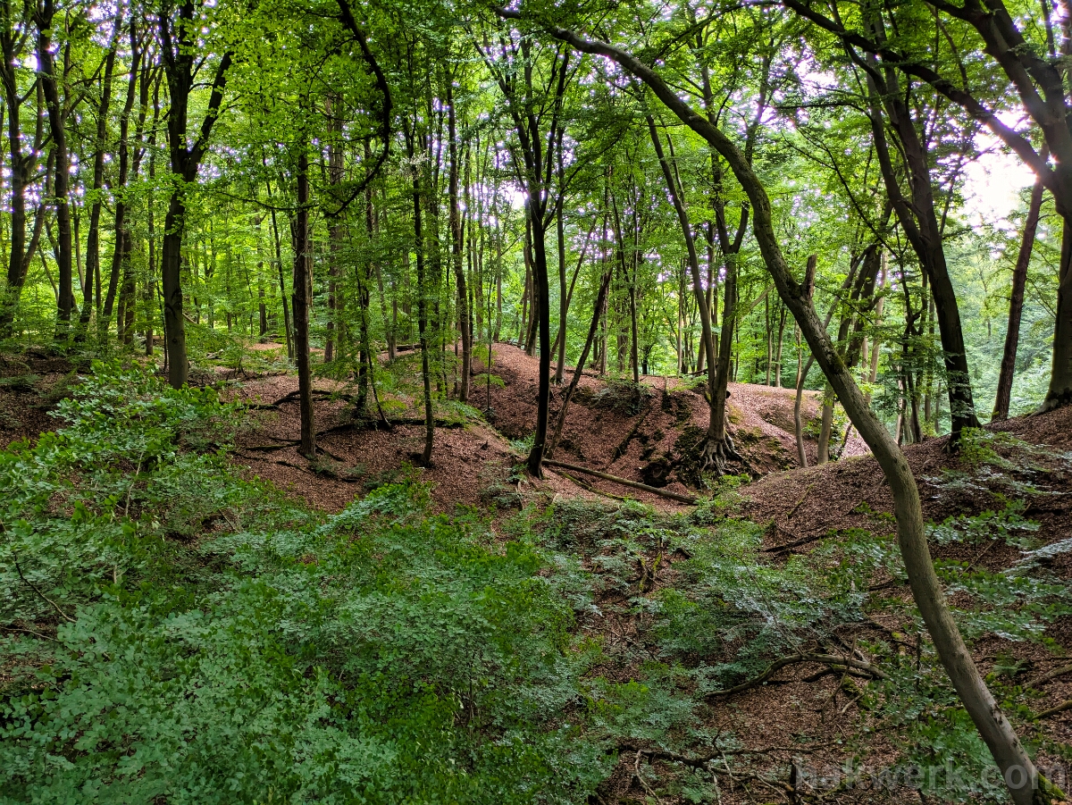 PXL_20250707_105539943 