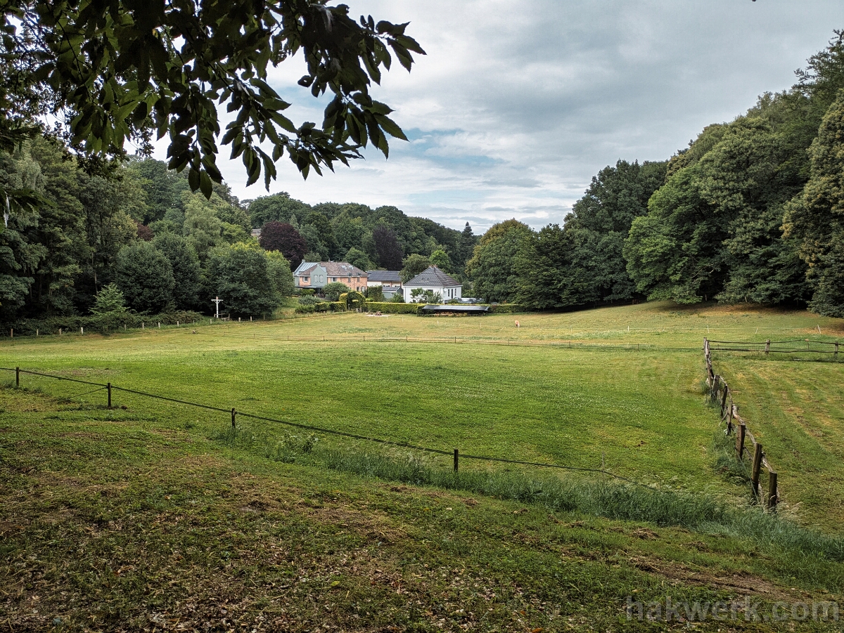 PXL_20250707_120835904 