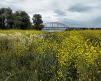 PXL_20250705_104708702