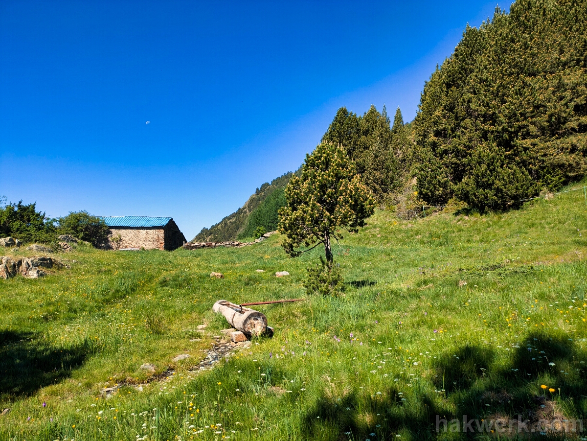 IMG_2900_PXL_20250617_082456794 Vall del Riu, Andorra