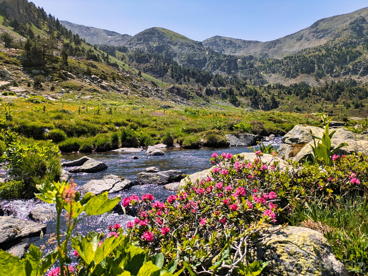 IMG_3200_PXL_20250620_094401361 Incles Valley, Andorra