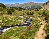 IMG_3130_PXL_20250619_102606883 Sorteny Valley, Andorra