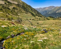 IMG_3130_PXL_20250619_103431507 Sorteny Valley, Andorra