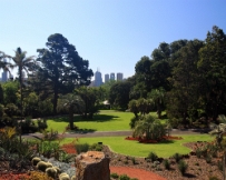 IMG_6408a Botanical Garden, Melbourne