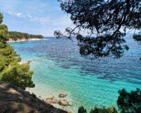 IMG_9441_PXL_20260429_134602498 Brač
