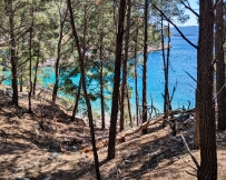 IMG_9451_PXL_20260430_120309480 Brač