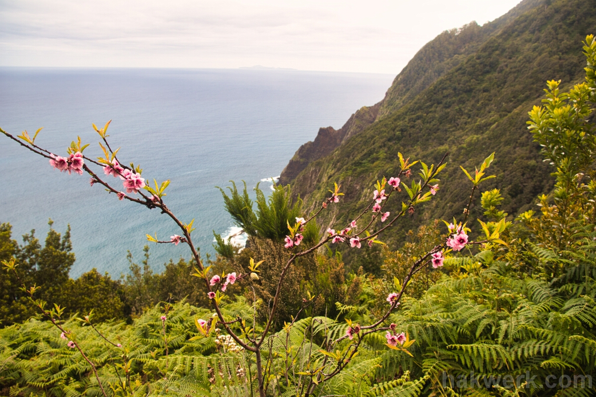 IMG_1376 Madeira Coast
