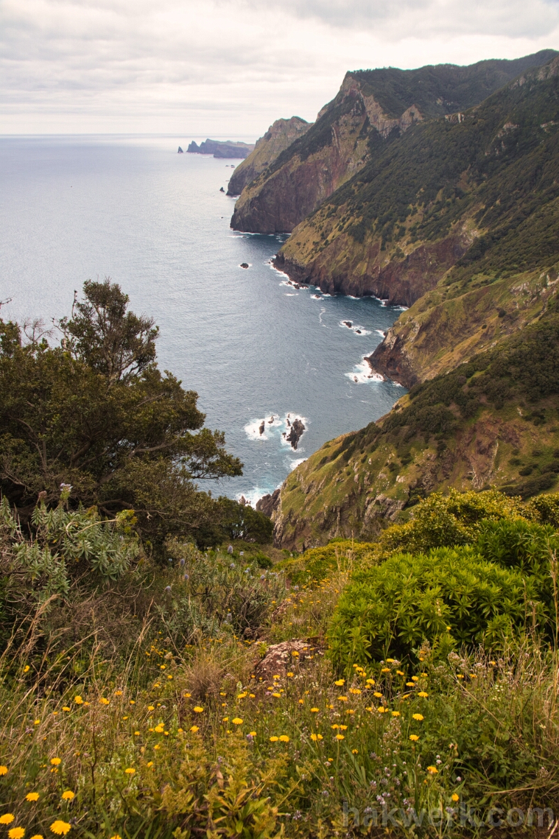 IMG_1416 Madeira Coast
