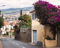 IMG_0766 Funchal, Madeira
