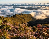 IMG_1200_PXL_20250427_065016644 Pico Ruivo
