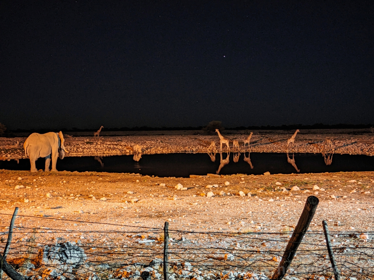 IMG_3743_PXL_20240524_192025107 Namibia, Etosha NP, Okaukuejo watering hole