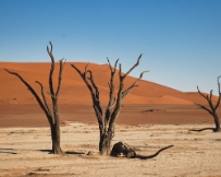 IMG_2832 Namibia, Deadvlei