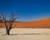 IMG_2836 Namibia, Deadvlei