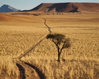 IMG_3011 Namibia, Namib Desert