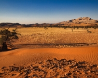 IMG_3025 Namibia, Namib Desert