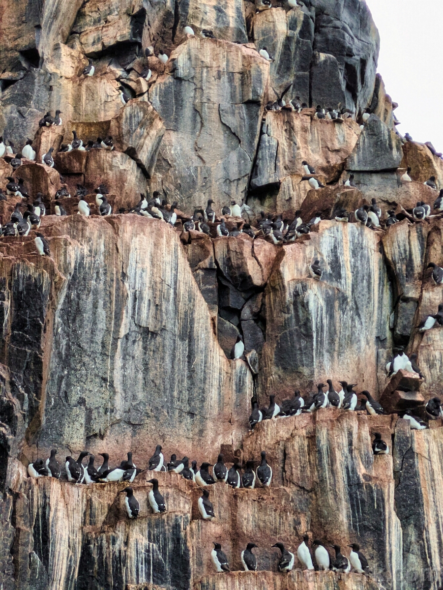 IMG_4790_PXL_20250817_200859793 