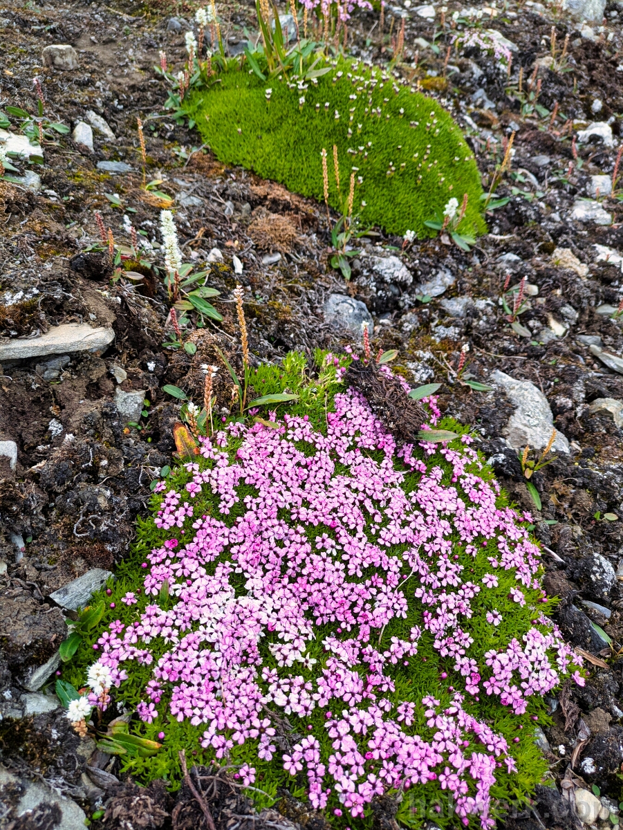 IMG_4830_PXL_20250818_101952886 