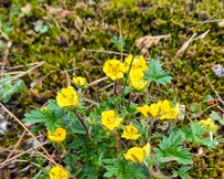 IMG_3700_PXL_20250814_081208434