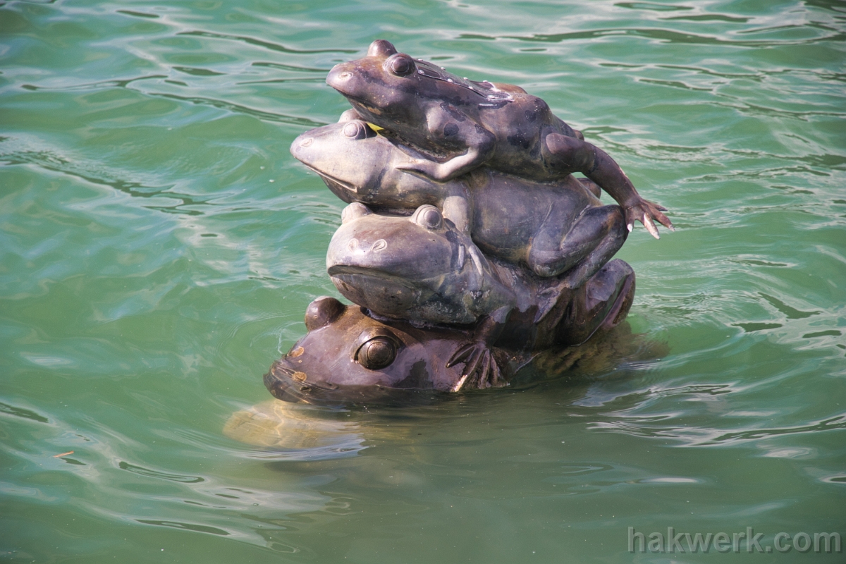 IMG_9263 Nine Frogs, Sun Moon Lake